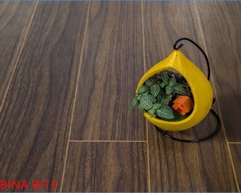 Sàn gỗ Robina 12mm W15 - Sàn gỗ Malaysia